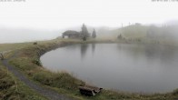 Archiv Foto Webcam Jochstub'n-See, Scheffau 11:00