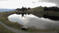Archiv Foto Webcam Jochstub'n-See, Scheffau 11:00