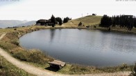 Archiv Foto Webcam Jochstub'n-See, Scheffau 13:00