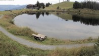 Archiv Foto Webcam Jochstub'n-See, Scheffau 09:00