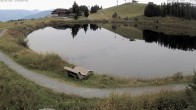 Archiv Foto Webcam Jochstub'n-See, Scheffau 11:00