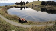 Archiv Foto Webcam Jochstub'n-See, Scheffau 11:00