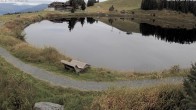 Archiv Foto Webcam Jochstub'n-See, Scheffau 17:00