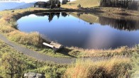 Archiv Foto Webcam Jochstub'n-See, Scheffau 07:00