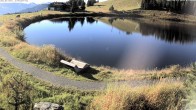 Archiv Foto Webcam Jochstub'n-See, Scheffau 08:00