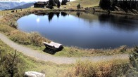 Archiv Foto Webcam Jochstub'n-See, Scheffau 11:00