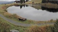 Archiv Foto Webcam Jochstub'n-See, Scheffau 08:00