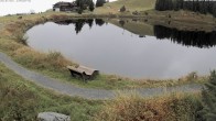 Archiv Foto Webcam Jochstub'n-See, Scheffau 09:00