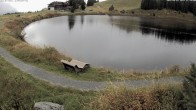 Archiv Foto Webcam Jochstub'n-See, Scheffau 11:00