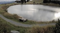 Archiv Foto Webcam Jochstub'n-See, Scheffau 15:00