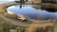 Archiv Foto Webcam Jochstub'n-See, Scheffau 14:00