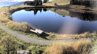 Archiv Foto Webcam Jochstub'n-See, Scheffau 08:00