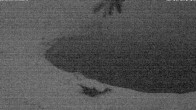 Archiv Foto Webcam Jochstub'n-See, Scheffau 01:00
