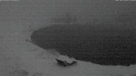 Archiv Foto Webcam Jochstub'n-See, Scheffau 17:00