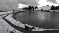 Archived image Webcam Lake Jochstub'n-See, Scheffau 11:00