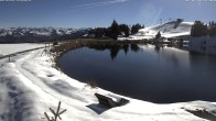 Archiv Foto Webcam Jochstub'n-See, Scheffau 11:00