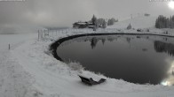 Archiv Foto Webcam Jochstub'n-See, Scheffau 12:00