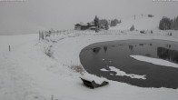 Archiv Foto Webcam Jochstub'n-See, Scheffau 08:00