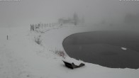 Archiv Foto Webcam Jochstub'n-See, Scheffau 12:00