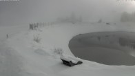 Archiv Foto Webcam Jochstub'n-See, Scheffau 12:00
