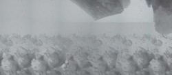Archiv Foto Webcam Jungfraujoch-Panorama, Berner Oberland 11:00