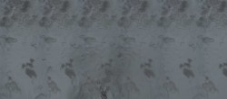 Archiv Foto Webcam Jungfraujoch-Panorama, Berner Oberland 19:00