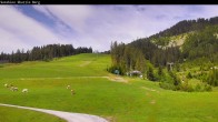 Archiv Foto Webcam Shuttleberg bei Flachauwinkl-Kleinarl 09:00