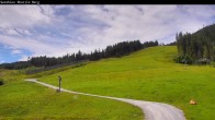 Archiv Foto Webcam Shuttleberg bei Flachauwinkl-Kleinarl 11:00