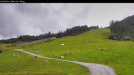 Archiv Foto Webcam Shuttleberg bei Flachauwinkl-Kleinarl 13:00
