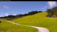 Archiv Foto Webcam Shuttleberg bei Flachauwinkl-Kleinarl 09:00