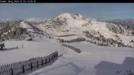 Archiv Foto Webcam Flachauwinkl-Kleinarl: Bergstation Powder Shuttle 11:00