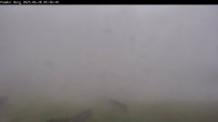 Archiv Foto Webcam Flachauwinkl-Kleinarl: Bergstation Powder Shuttle 05:00