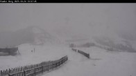 Archiv Foto Webcam Flachauwinkl-Kleinarl: Bergstation Powder Shuttle 13:00
