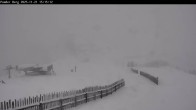Archived image Webcam Powderberg, Flachauwinkl-Kleinarl 14:00