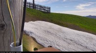 Archiv Foto Webcam Flachauwinkl-Kleinarl, Salzburger Land 07:00
