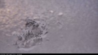 Archived image Webcam Flachauwinkl-Kleinarl 06:00