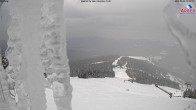 Archived image Webcam View from the Großer Arber 13:00