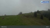 Archiv Foto Webcam Bergstation Markbachjoch, Wildschönau 08:00