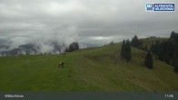Archiv Foto Webcam Bergstation Markbachjoch, Wildschönau 10:00