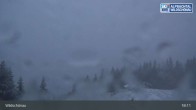 Archiv Foto Webcam Bergstation Markbachjoch, Wildschönau 18:00