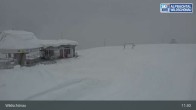 Archived image Webcam Top Station Markbachjoch, Wildschoenau 10:00