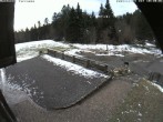 Archived image Webcam Bühlertallift Hundseck - Sun Deck 09:00