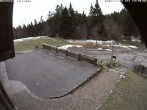 Archiv Foto Webcam Bühlertallift Hundseck - Terrasse 13:00