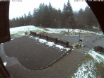 Archived image Webcam Bühlertallift Hundseck - Sun Deck 07:00