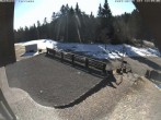 Archived image Webcam Bühlertallift Hundseck - Sun Deck 11:00