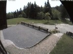 Archived image Webcam Bühlertallift Hundseck - Sun Deck 13:00