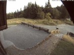 Archiv Foto Webcam Bühlertallift Hundseck - Terrasse 19:00