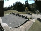 Archived image Webcam Bühlertallift Hundseck - Sun Deck 11:00