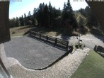 Archiv Foto Webcam Bühlertallift Hundseck - Terrasse 13:00