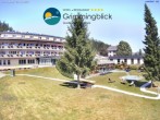 Archiv Foto Webcam Bad Mitterndorf: Hotel Grimmingblick 11:00